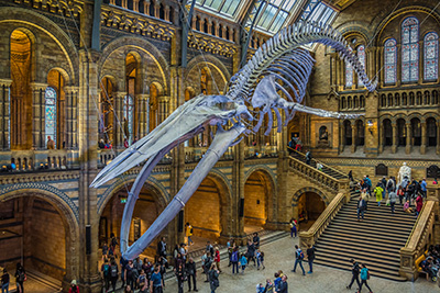 museums