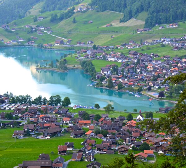 swiss-green-3